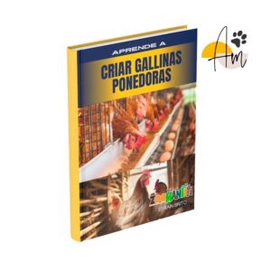 Guias