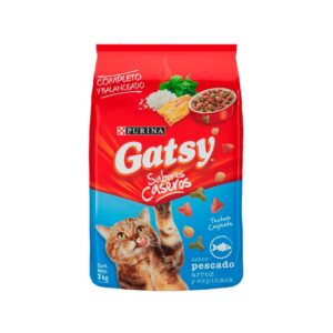 Gatsy